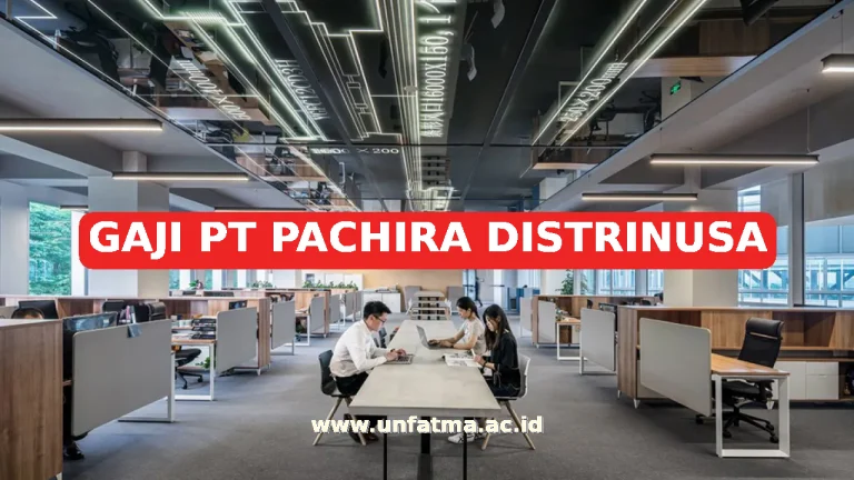 GAJI PT PACHIRA DISTRINUSA