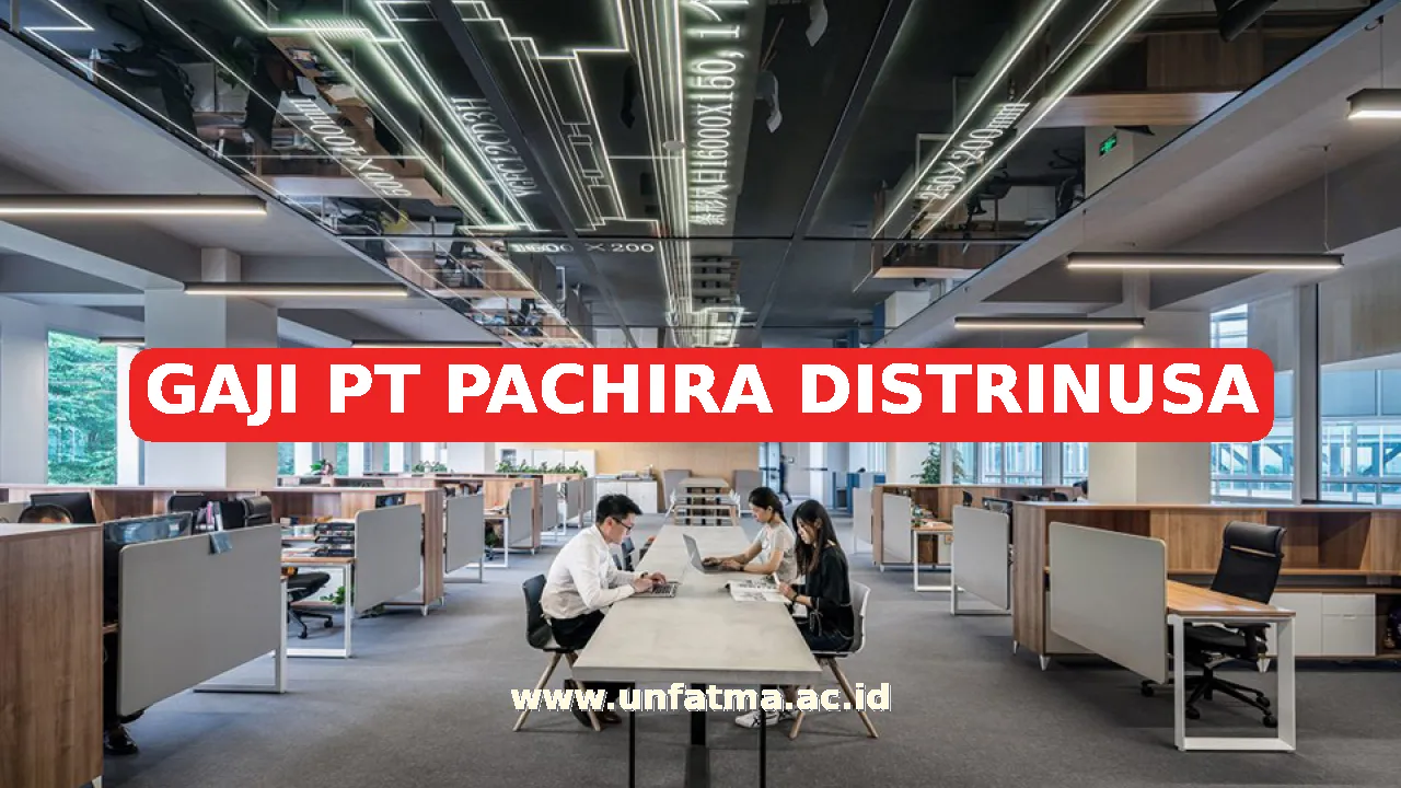 GAJI PT PACHIRA DISTRINUSA