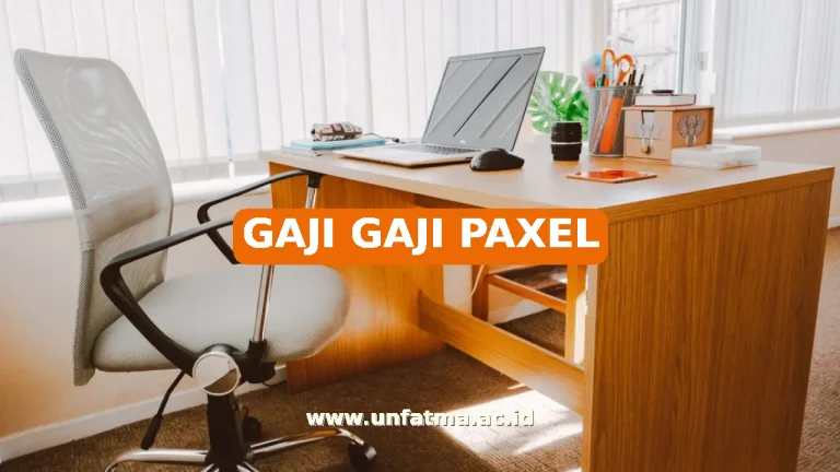 GAJI GAJI PAXEL